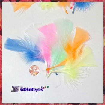 Feathers: 0.49oz Bag Assorted Pastel Feathers