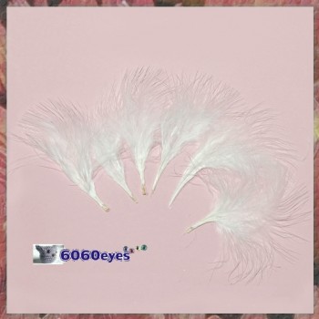 Feathers: 0.25oz Bag White