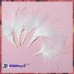 Feathers: 0.25oz Bag White